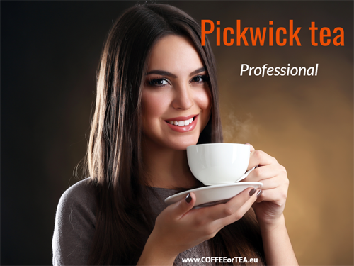 Pickwick Tee professionell