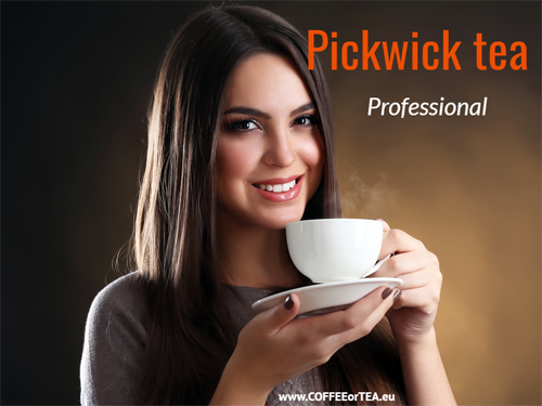 Pickwick Tee professionell Pickwick-Tee-professionell
